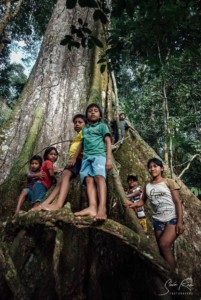 Bameno kids, Ceiba Tree, Kapok