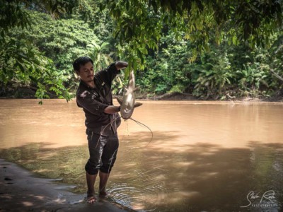 Catfish, Ecuador, Yasuni National Park
