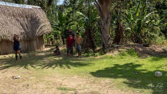 Ecuador, Spear, Target practice, Yasuni National Park