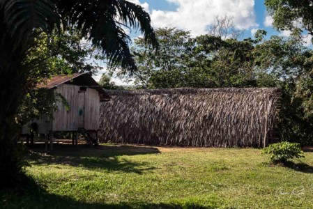Ecuador-Traditional-house-Yasuni-National-Park
