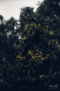 856764669
